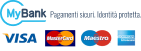 accepted-payment